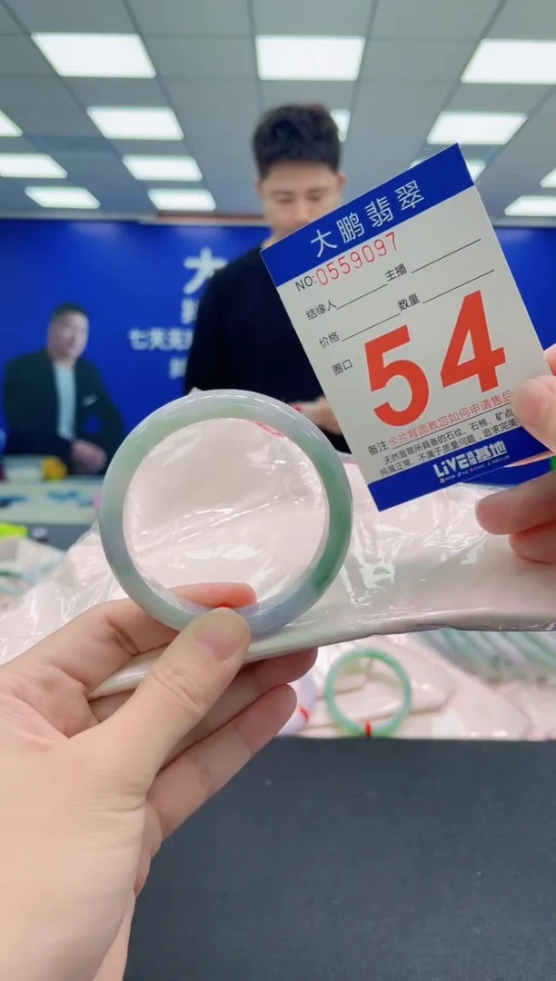 未镶嵌手镯翡翠AAAAAAAAA