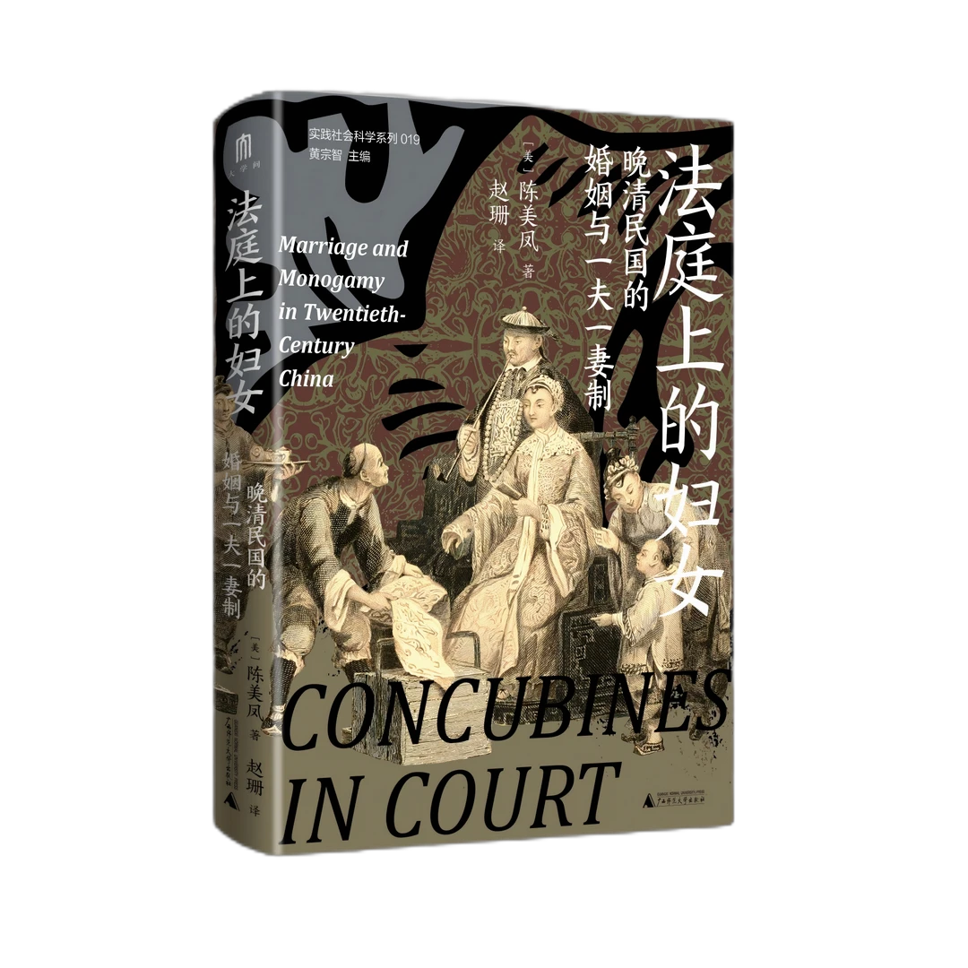 法庭上的妇女:晚清民国的婚姻与一夫一妻制 陈美凤/著 赵珊/译
