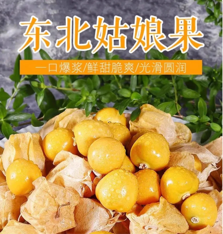 (顺丰快递）东北菇娘果 童年的味道 纯甜