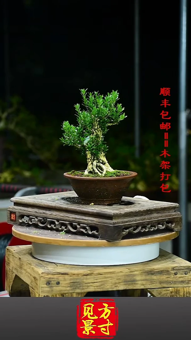 森**水65648978465785213