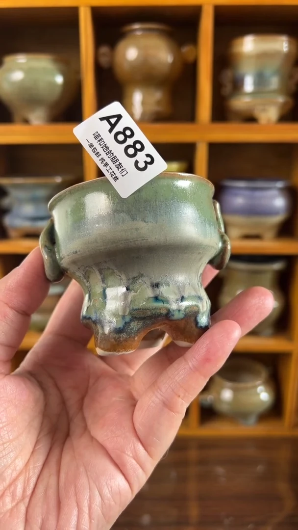 883 内口6【多肉花盆多肉盆】