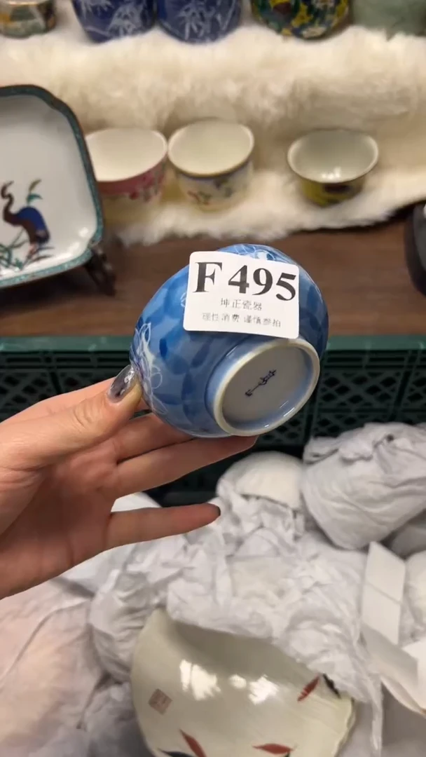 【闪购商品】瓷片          F495