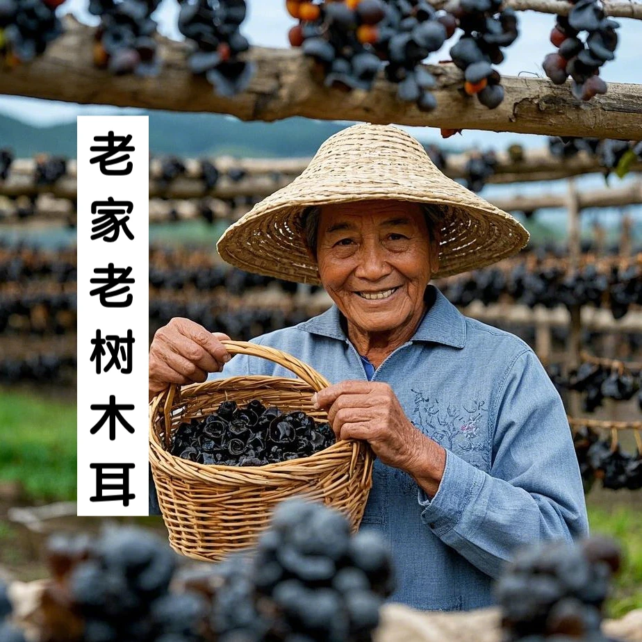 福【老树木耳】肉质饱满 健康美味 熬汤火锅香鲜
