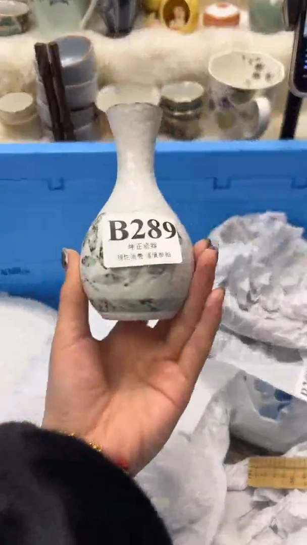 【闪购商品】瓷片          B289