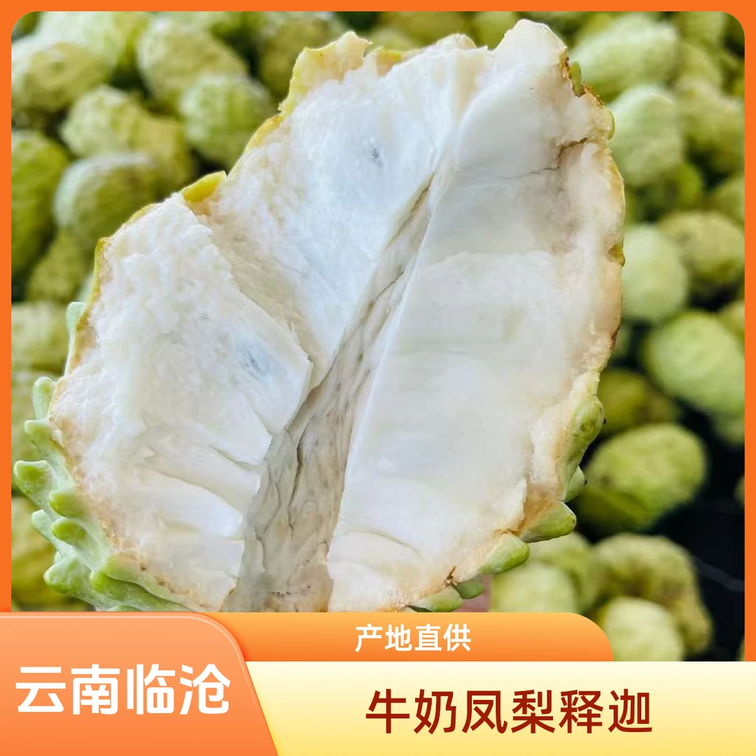 云南临沧直供牛奶 凤梨释迦高颜值 当季鲜果现摘现发