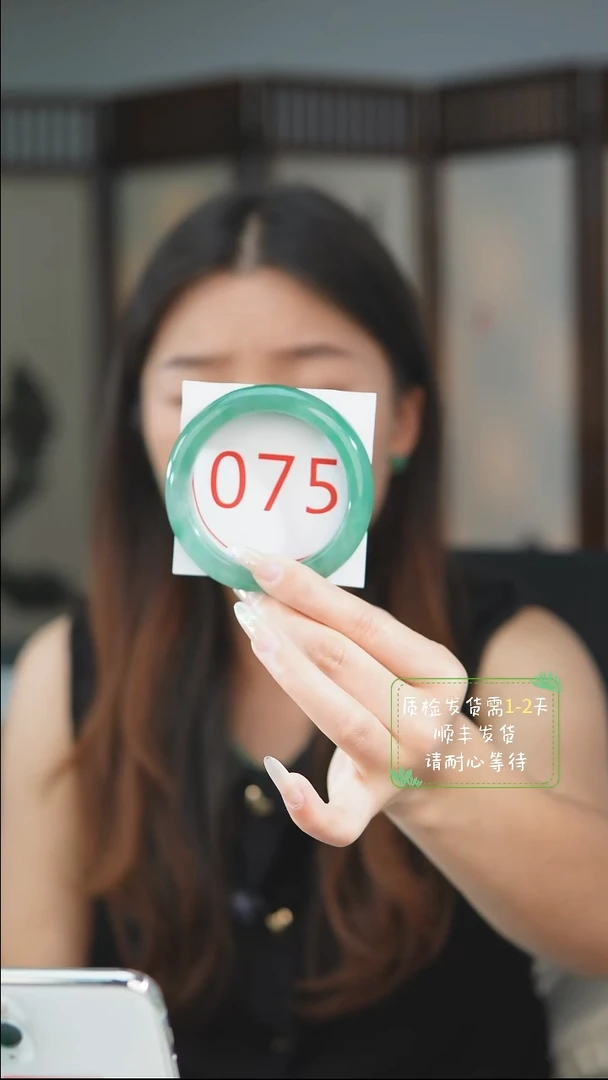 未镶嵌手镯石英质玉（非洲翠）56