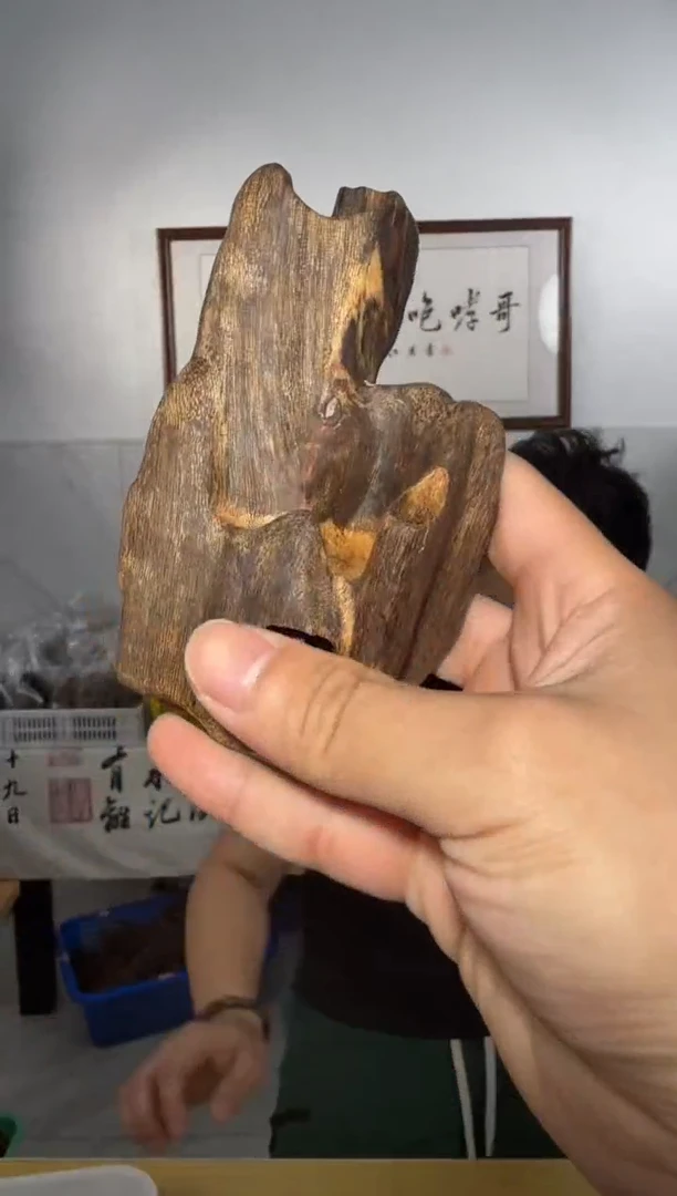 摆件沉香z118号86g多样性发一