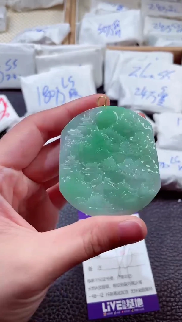 翡翠未镶嵌颈饰00000970