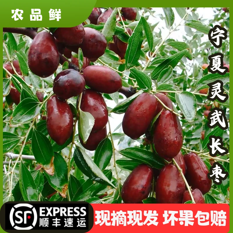 【发麦姐专属】宁夏灵武长枣新鲜水果当季现摘脆甜多汁皮薄