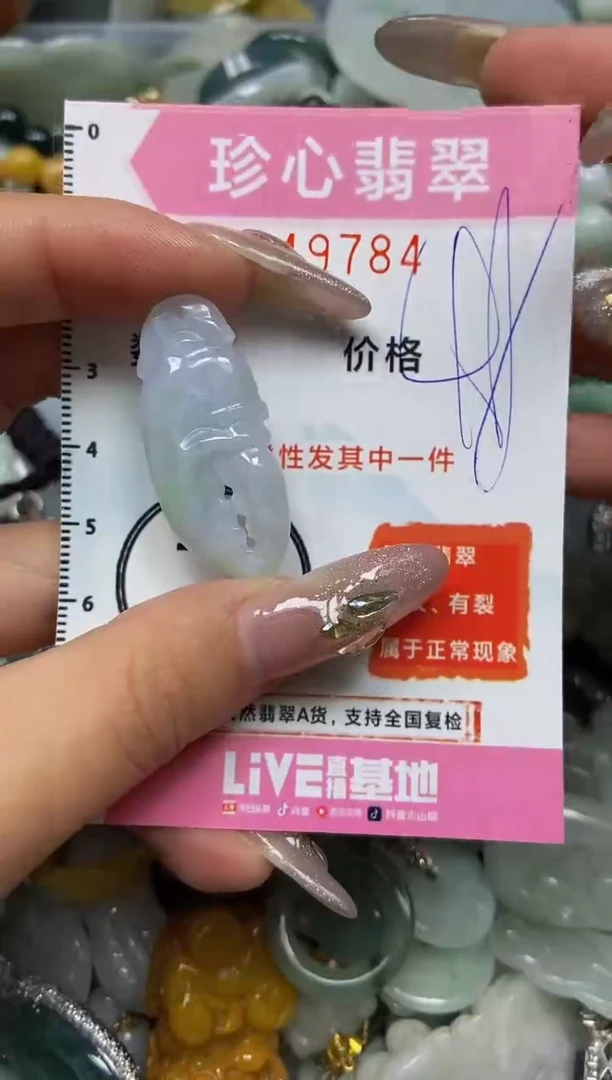 【闪购商品】翡翠颈饰未镶嵌闪购0149784