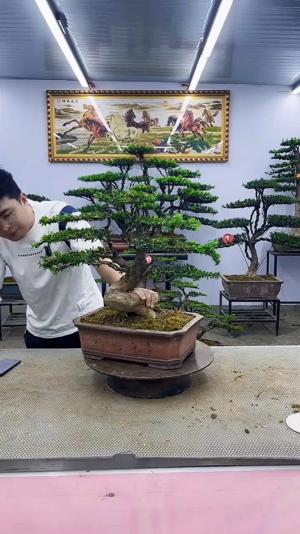 无花朵一物一拍，所见即所得