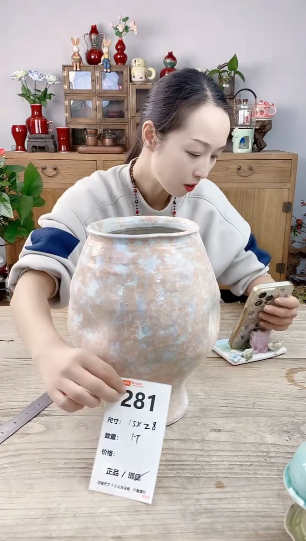 晴好园艺直播编号281