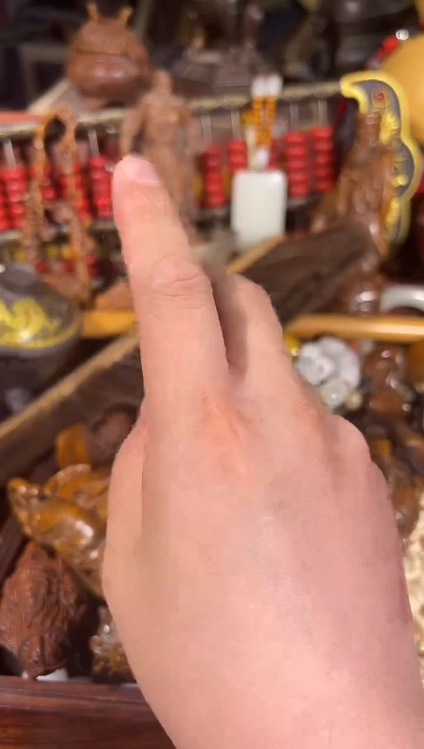 黄杨木11111111111111111111