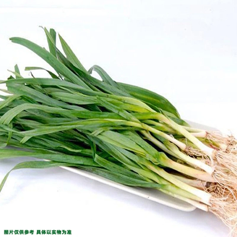 【散】青大蒜约200g±20g/份