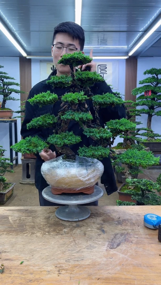无花朵0000000000000000