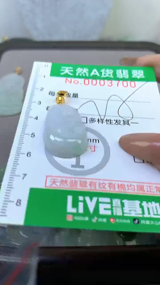 颈饰未镶嵌翡翠未镶嵌纯天然A货翡翠