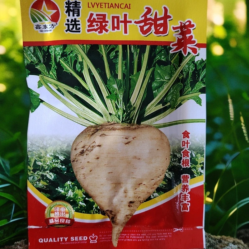 大叶甜菜籽（拍一发二）