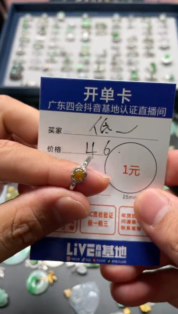 颈饰未镶嵌翡翠低***丽挂件
