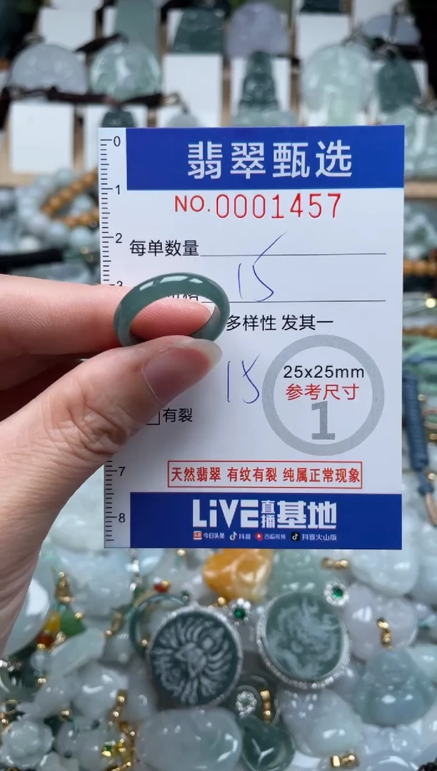 翡翠未镶嵌颈饰00..1457