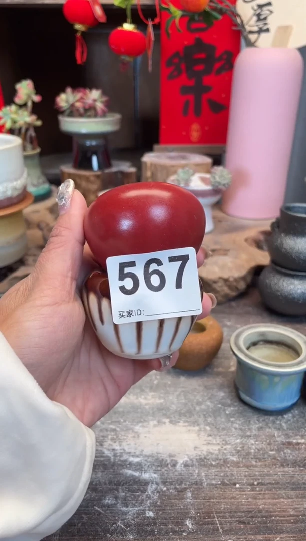 【闪购商品】摆件567微瑕知木小芳花盆