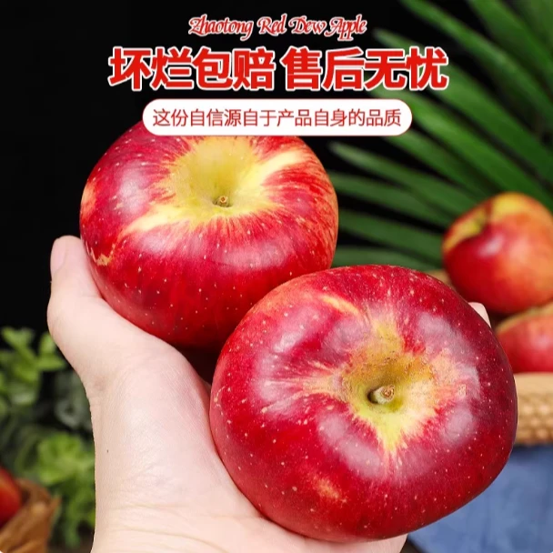 正宗云南昭通冰糖心丑苹果新鲜脆甜多汁现摘水果
