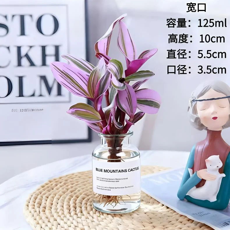 水培油画婚礼吊篮套装北欧ins风水培玻璃花瓶多肉水培植物