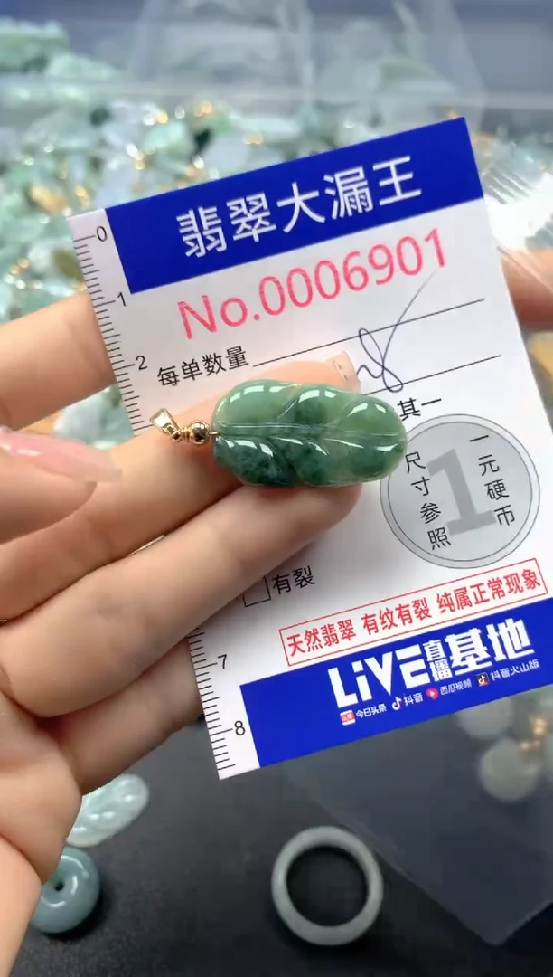 颈饰未镶嵌翡翠6901