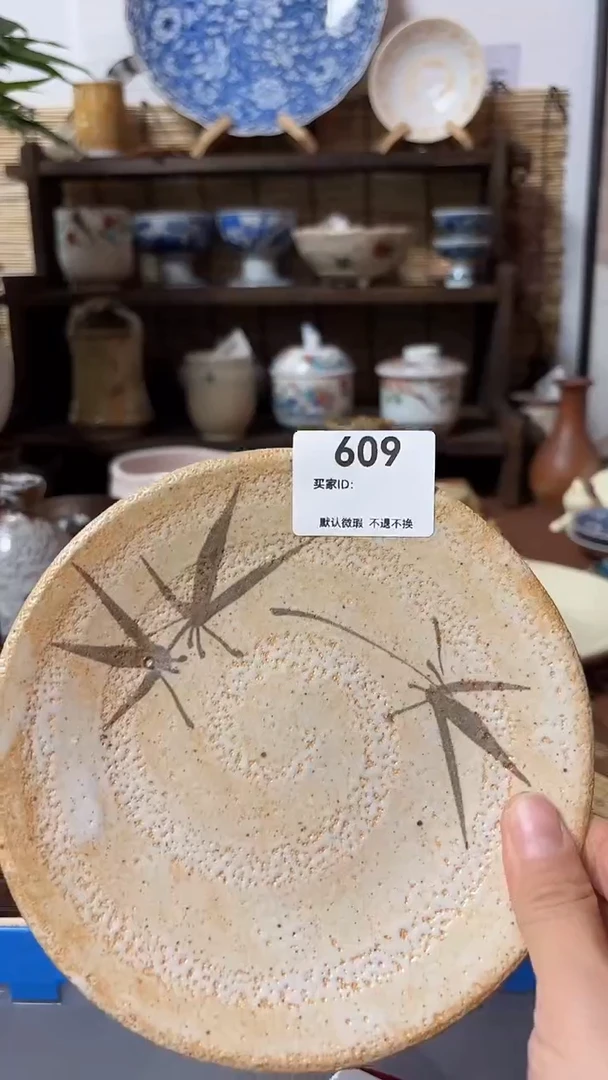 【闪购商品】瓷片喵喵日瓷都是大漂亮