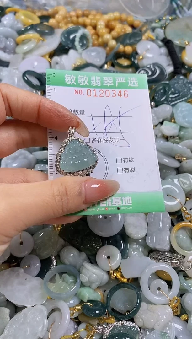 【闪购商品】翡翠颈饰未镶嵌闪购0120346多样性发其一