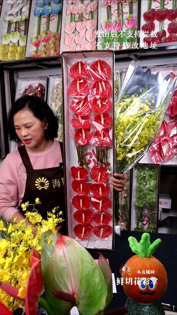 红掌20支小掌+B级跳舞兰1束，微瑕无售后