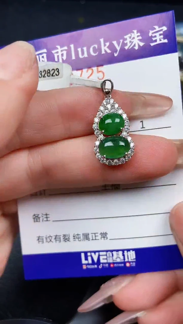 翡翠银S925镶嵌颈饰9725