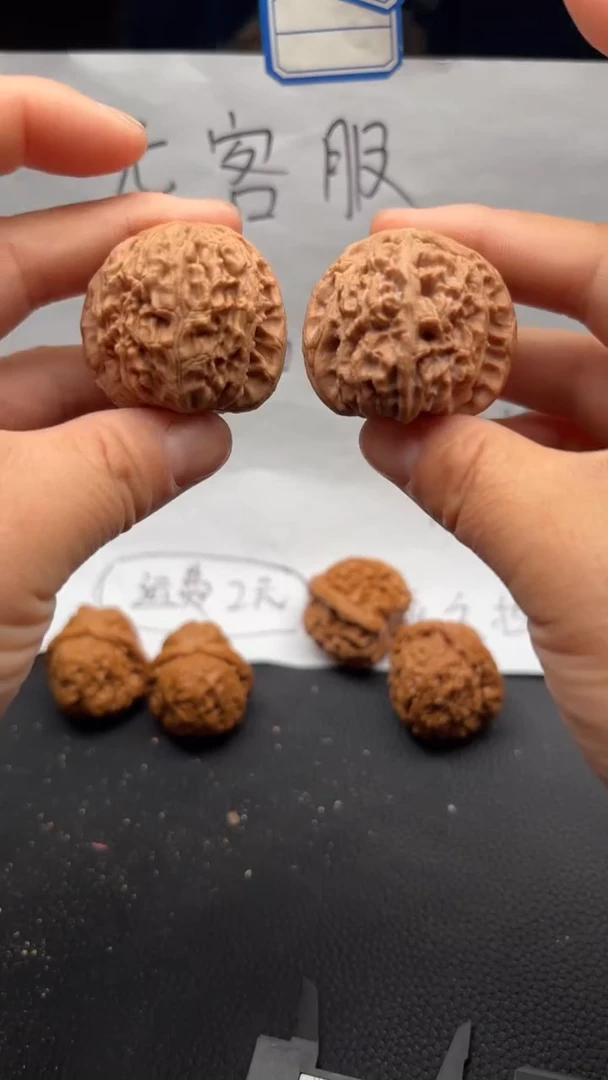 把件文玩核桃263白狮子