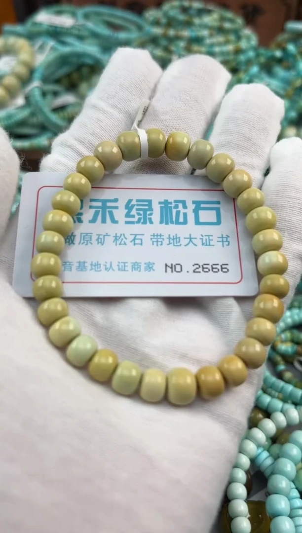 绿松石未镶嵌松石2666