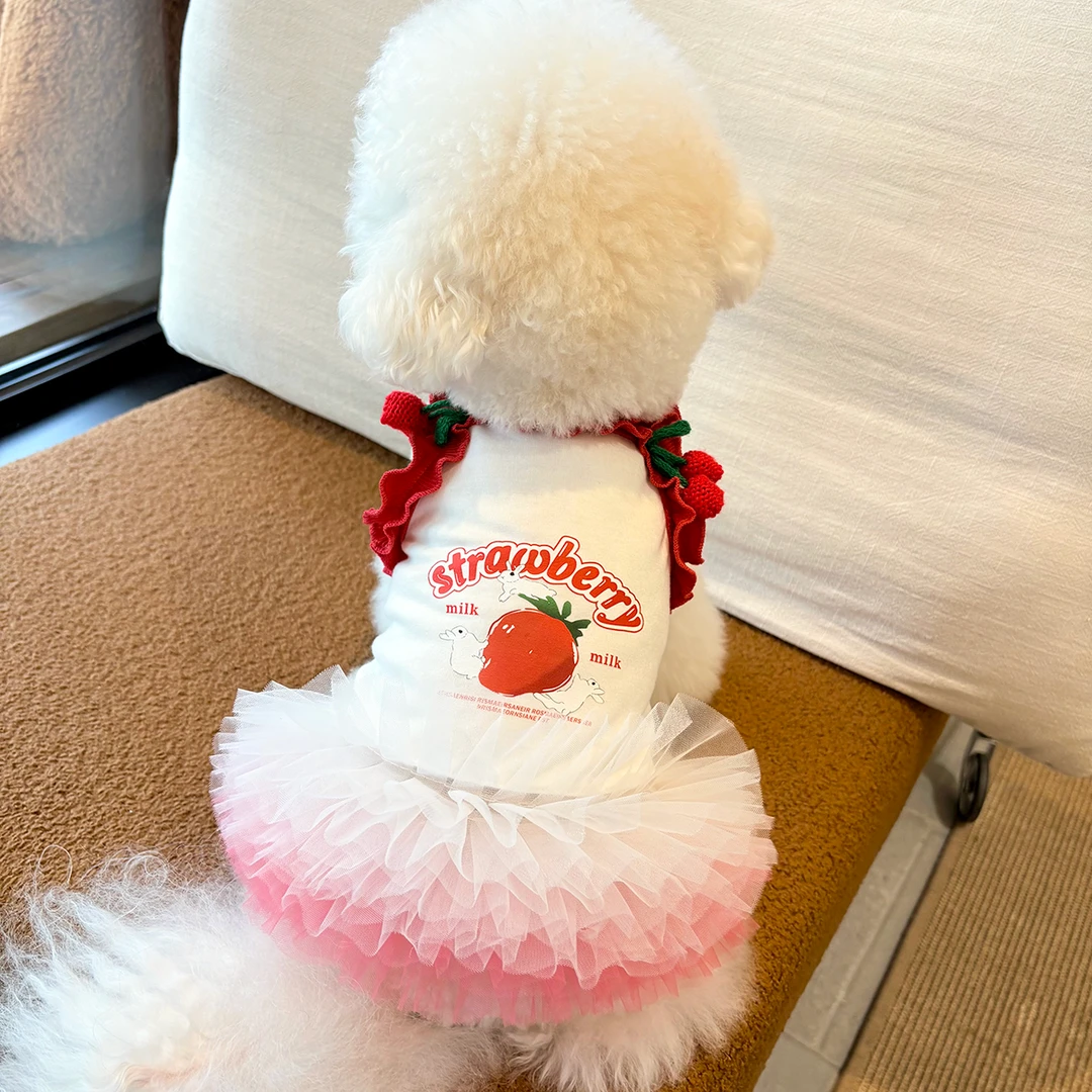 宠物狗狗猫咪衣服吊带公主裙小型犬猫咪车厘子印花舒适蓬蓬裙纱裙