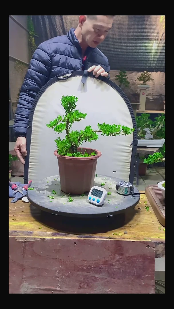完全开放佳*1111111111