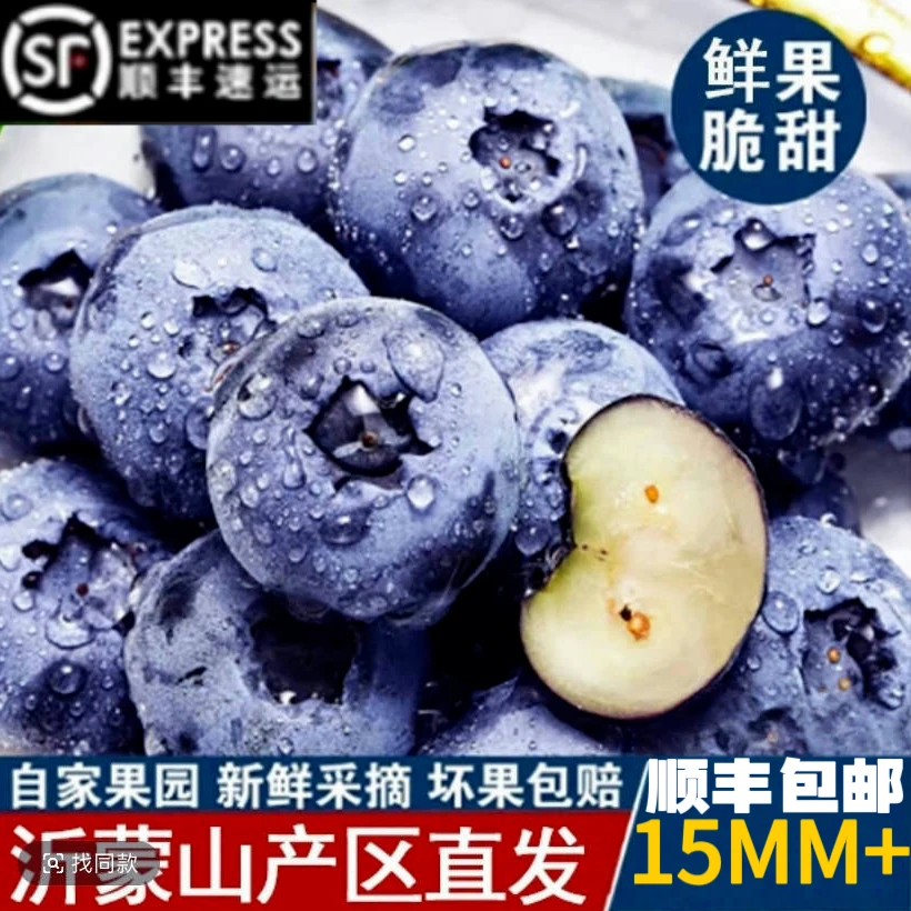 现摘蓝莓买10盒发14盒自然成熟日照陈疃镇蓝莓之乡【顺丰】直发
