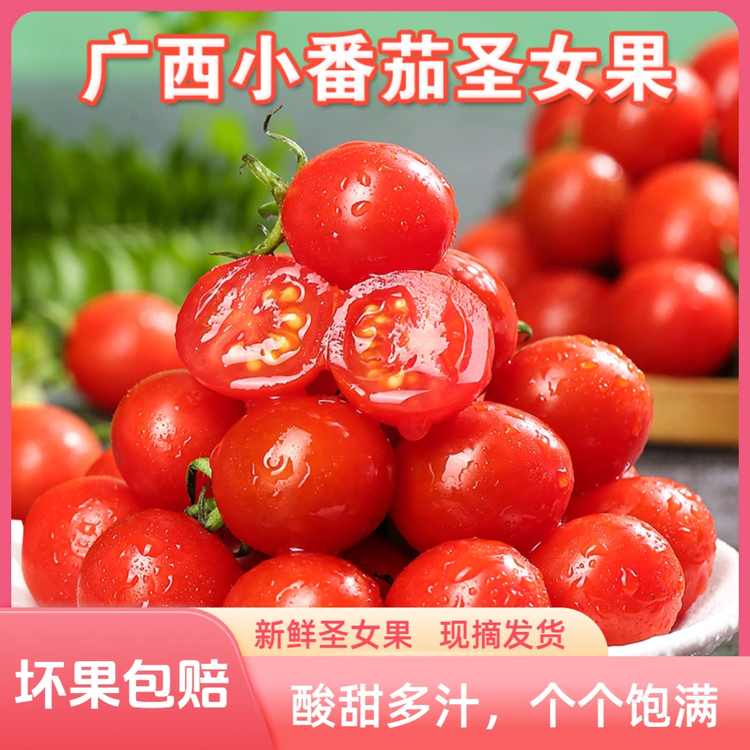 广西露天种植圣女果5斤农家种植新鲜摘发货当季孕妇水果酸甜多汁