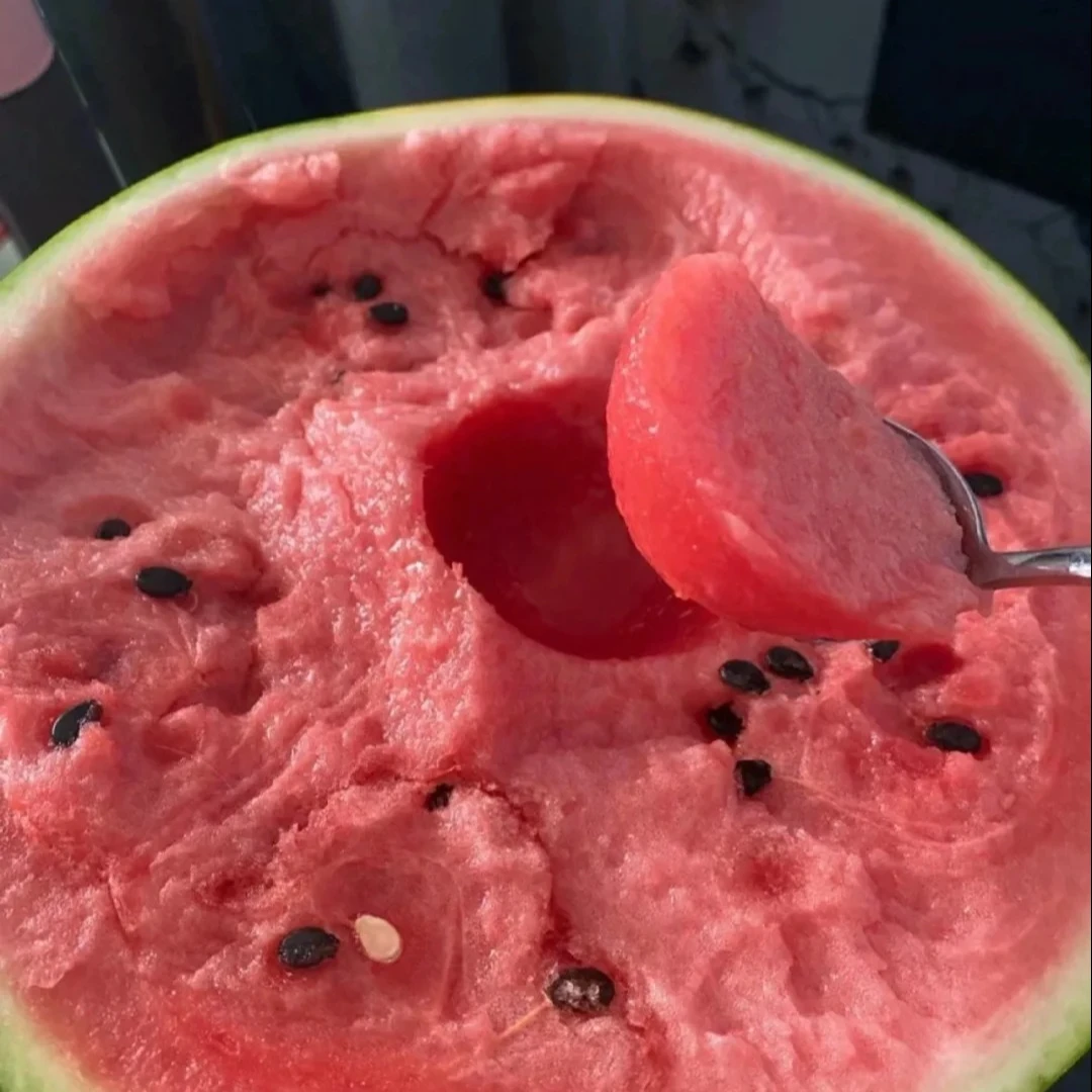 上海本地精品8424西瓜水果黑籽新鲜采摘现摘现发当季蔬果上海市