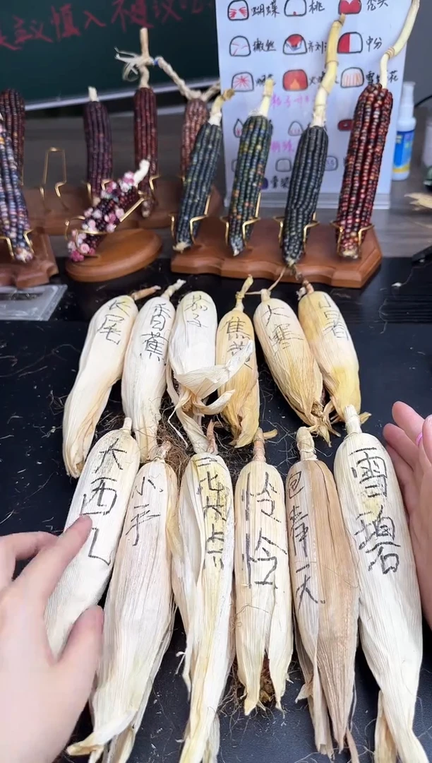 【闪购商品】哈哈哈哈哈哈哈哈哈