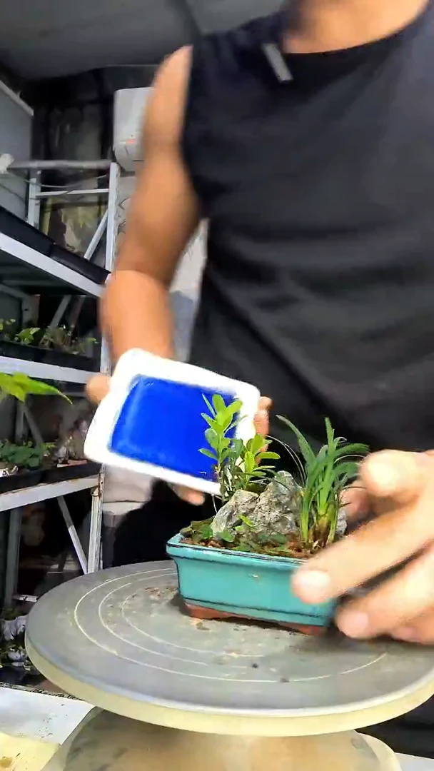 就***跑中青园艺一物一拍67