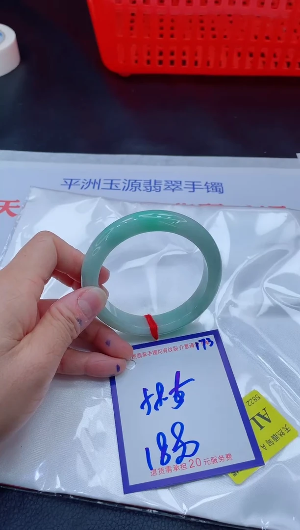 未镶嵌手镯翡翠11111111