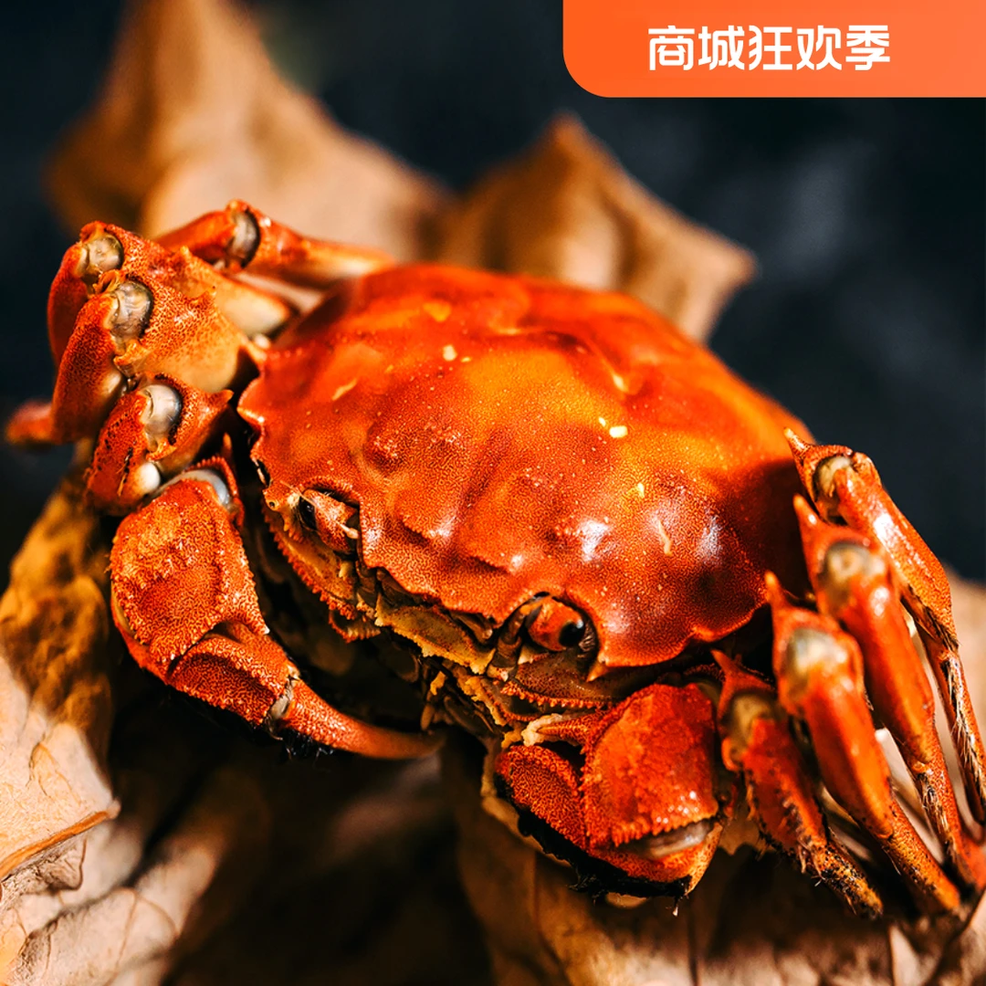 X【活蟹】江苏河蟹母蟹1·8-2·1两6只送4只京东顺丰包邮不绑绳