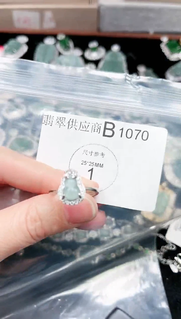 【闪购商品】翡翠颈饰未镶嵌赠皮绳1070