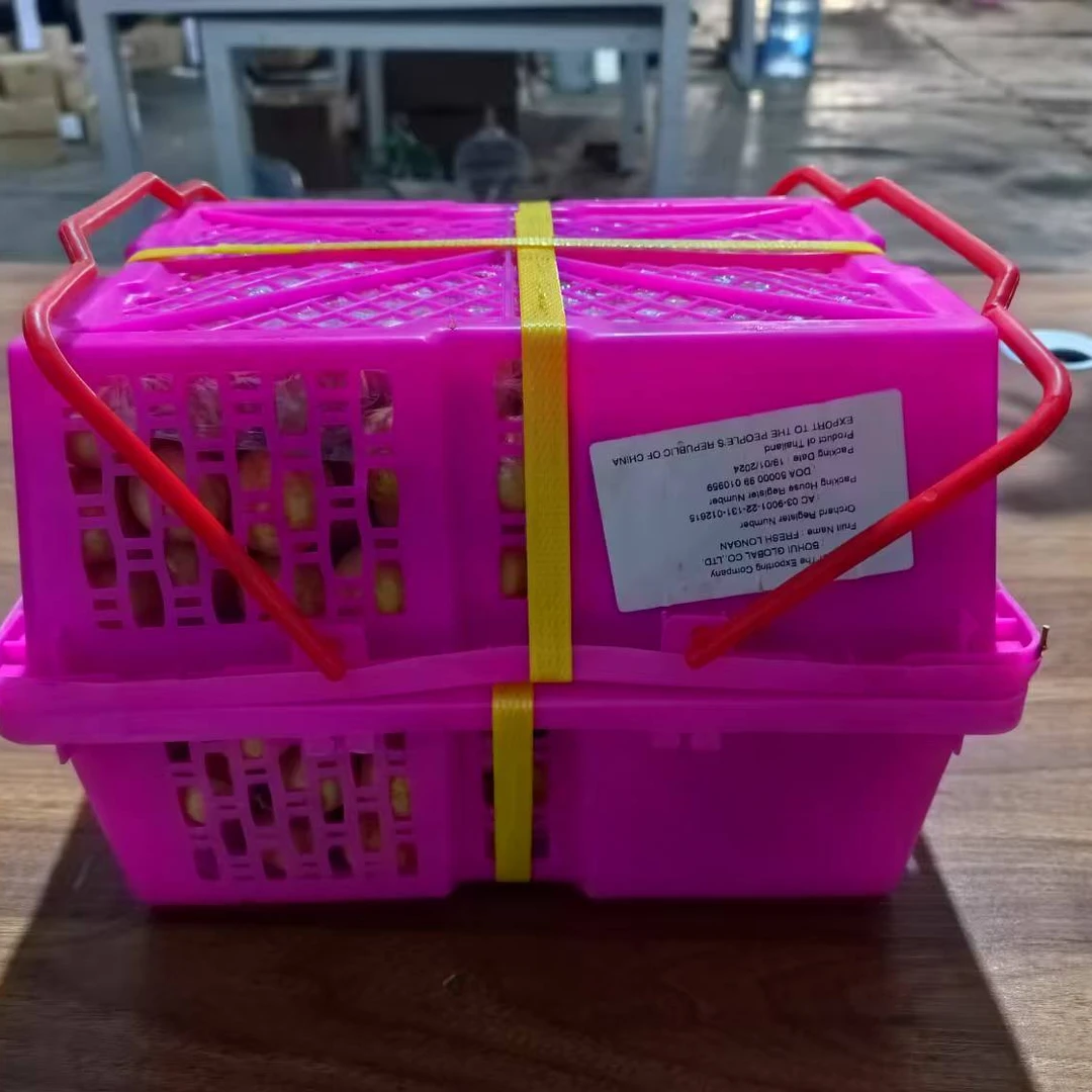 【年货礼盒】泰国金标龙眼现摘现发1-20斤包邮1号