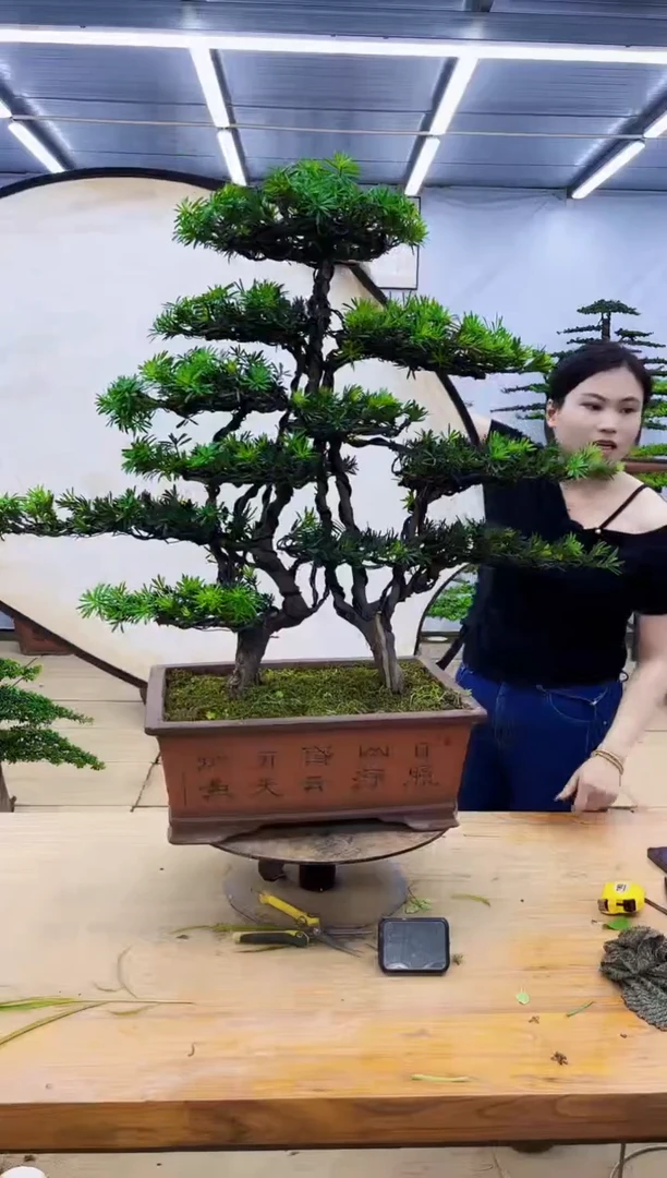 无花朵一物一拍，所见即所得