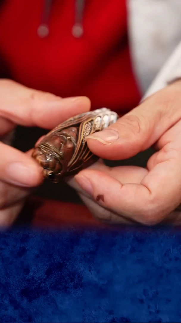 宜兴紫砂 紫砂茶壶 金蝉