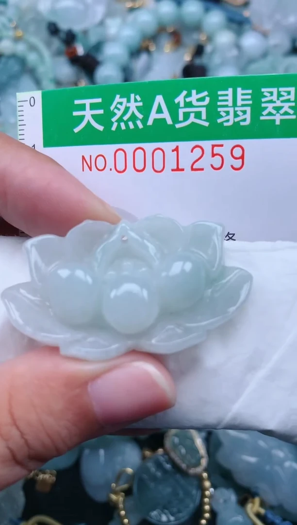 翡翠未镶嵌颈饰.0001259