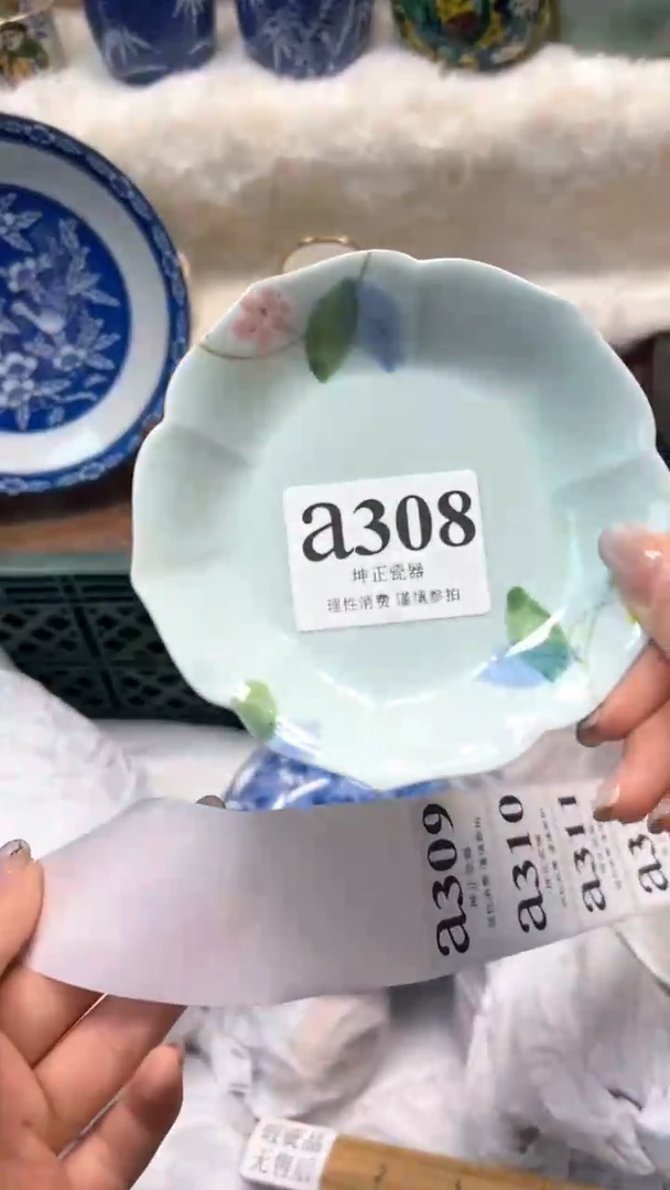 【闪购商品】瓷片          a308