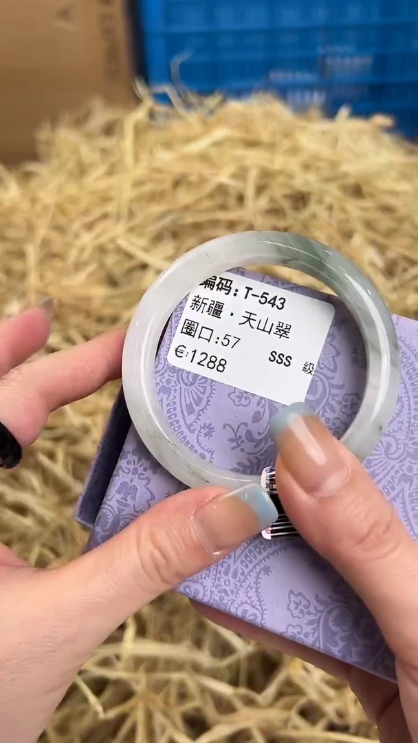 未镶嵌手镯石英质玉T-543