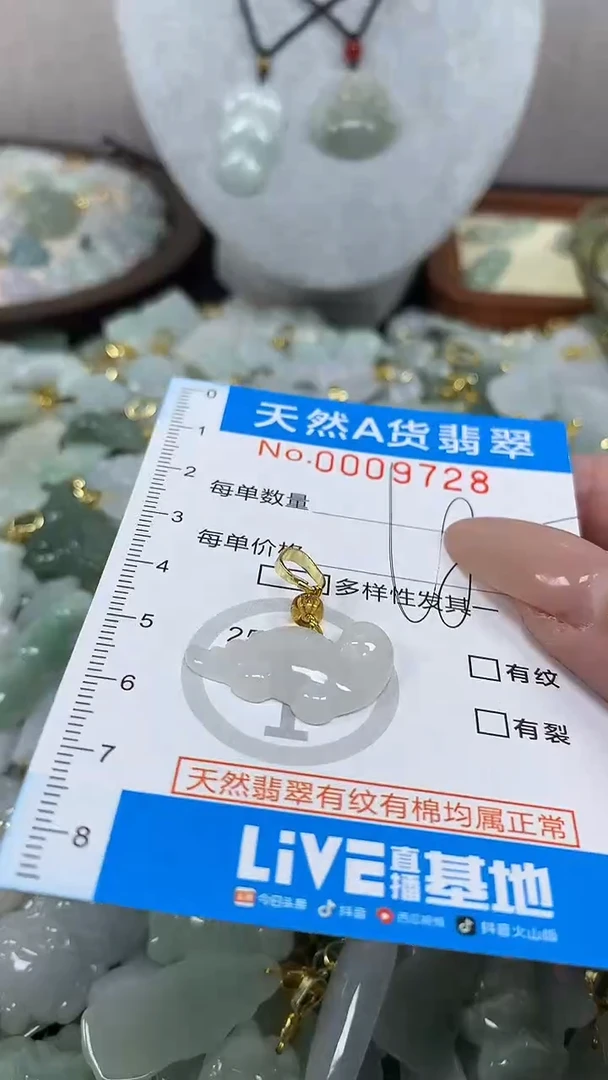 翡翠未镶嵌颈饰净货挂件-9728